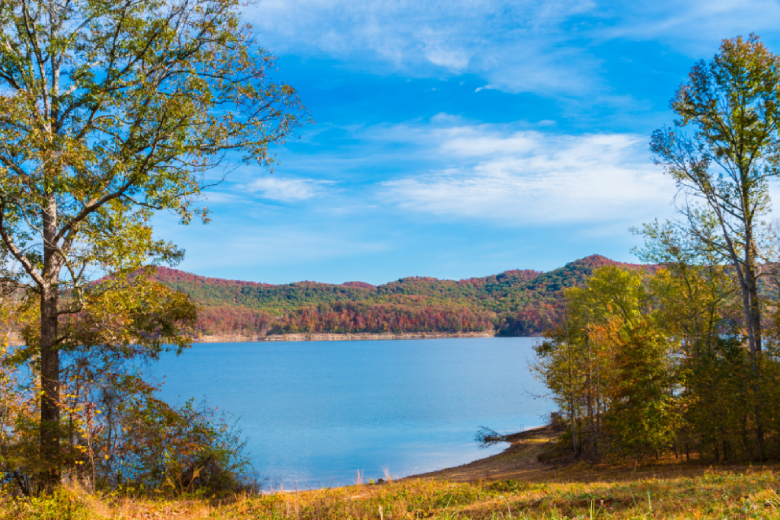 Lake Malone Area